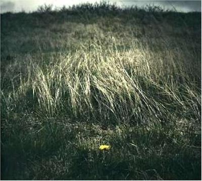 Night Of The Ankou - CD (0182270000147) Night Of The Ankou - CD (0182270000147)