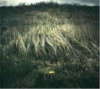 Night Of The Ankou - CD (0182270000147) - thumbnail