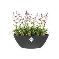 Elho brussels bloempot ovaal 36 cm antraciet - thumbnail