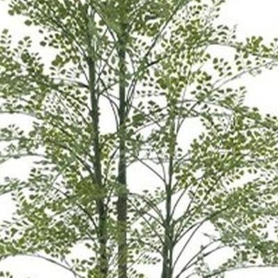 Maidenhair fern Cuba in pot green 180 cm kunstbloem Erutan Avon - Erutan avon