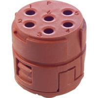 EPIC Signal M23 inzetstukken, 6-polig 73002761 Lapp Zubehör LAPP Inhoud: 20 stuk(s) - thumbnail