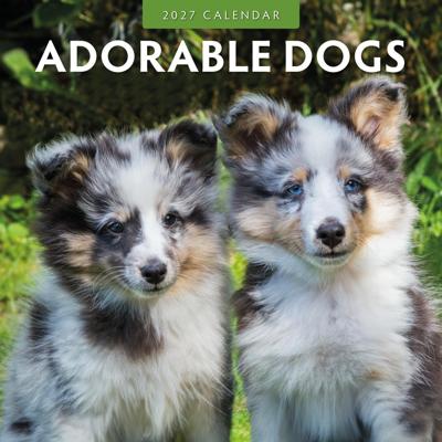 Adorable Dogs Kalender 2027 Adorable Dogs Kalender 2027