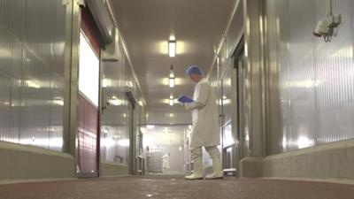 Dunlop CA61131 Purofort FoodPro Multigrip S4 Wit/Blauw - Maat 38 - 15.036.68.38 Dunlop CA61131 Purofort FoodPro Multigrip S4 Wit/Blauw - Maat 38 - 15.036.68.38