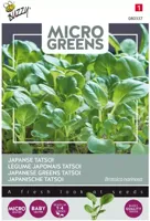 Zaden Microgreens Tatsoi Buzzy - Buzzy - thumbnail
