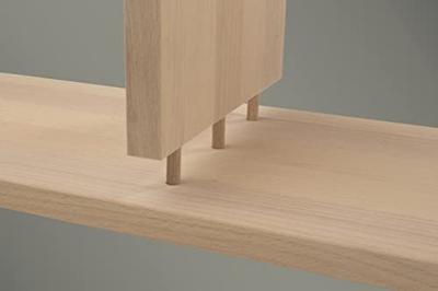 Wolfcraft 2908000 Houten deuvel 40 mm 8 mm 40 stuk(s)