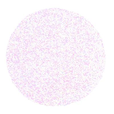 Vaessen Creative • glitter 2,5 gram x1 iridescent