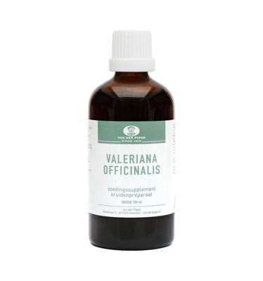 Valeriana officinalis Valeriana officinalis