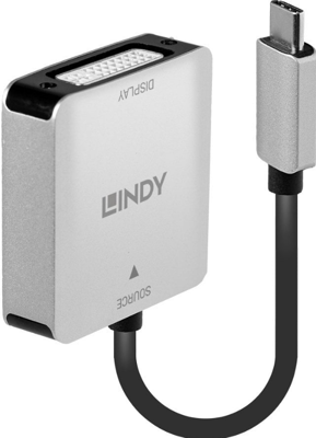 Lindy 43296 video kabel adapter 0,12 m USB Type-C DVI-D Grijs