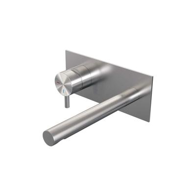 Brauer Brushed Edition Inbouw Wastafelmengkraan met Rechte Uitloop en Afdekplaat Model B2 RVS Geborsteld PVD