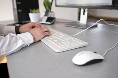 Toetsenbord Cherry JK-0800ES-0- Wit Grijs Qwerty Spaans Toetsenbord Cherry JK-0800ES-0- Wit Grijs Qwerty Spaans