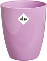 Elho brussels diamond orchid high 12,5 vivid violet - thumbnail