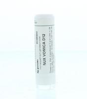 Homeoden Heel Nux vomica D12 6 Gram - thumbnail