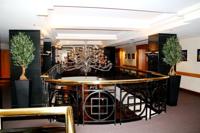 Kunst Olijfbonsai deluxe 150cm - thumbnail