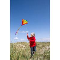 HQ Eenlijns Vlieger Eddy Rainbow Spanwijdte 680 mm Geschikt voor windsterkte 2 - 5 bft - thumbnail