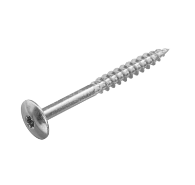 Hoenderdaal Hpl Schroef Rvs-A2 Torx TX20 Blank 4.8X60 | 100 stuks - 0346.30.38029