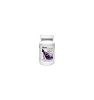 Balancepharma Gemmo simplex 22 Malus sylvestris 100 Milliliter - thumbnail