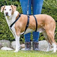 Geleideharnas voor hond Trixie Stay Zwart L/XL - thumbnail