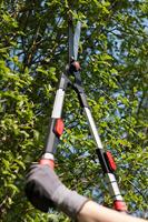 Meister Heggenschaar Telesc. 2C - WU9769100 - thumbnail