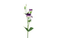 Decostar Lisianthus steel 67 cm paars - thumbnail