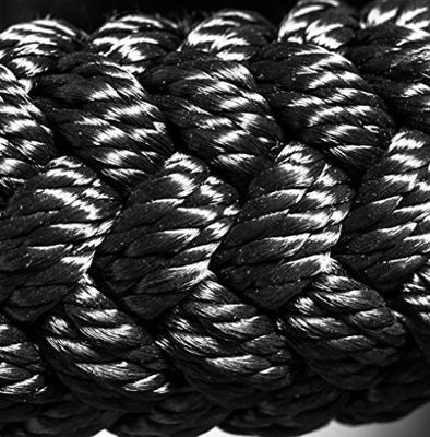 Blackthorn - 40D Battle Jump Rope
