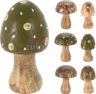 Decoratie Paddenstoel 10cm Assorti 1st