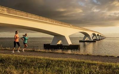 Rogelli Core T-shirt Hardloop shirt Dames XL/42