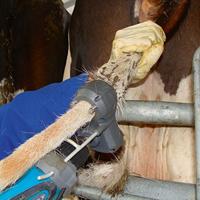 Producten/tailwell 2 power tail trimmer staartscheerder - thumbnail