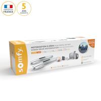 Somfy Exavia Star RTS 1240653 Draaideuraandrijving 250 kg - thumbnail