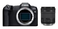 Canon EOS R8 + RF 24-105mm F/4-7.1 IS STM - thumbnail