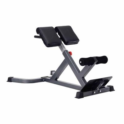 Titanium Strength BH45 Krachtbank Hyperextension | 45 Graden