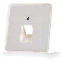 Jung 569-1UA Afdekking Afdekking 1-voudig Crème-wit 1 stuk(s) - thumbnail