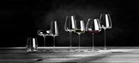 ZIEHER - Vision - Wijnglas 0,85l Balanced set/2 h25 - thumbnail