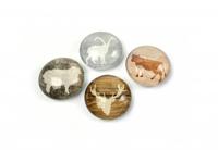 Trendform Magnet Eye - alp Leven - set van 4 geassorteerd - thumbnail