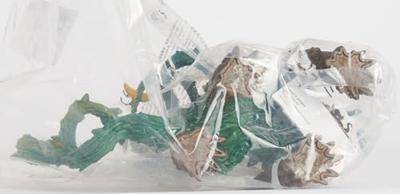 Schleich Junglemonster Schleich Junglemonster