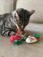 Yeowww! Strawberry Original - thumbnail