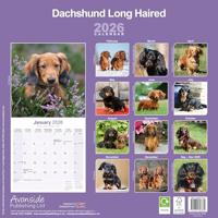 Longhaired Dachshund Calendar 2026 Square Dog Breed Wall Calendar - 16 Month - thumbnail