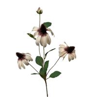 Roberts Collection Kunstbloem rudbeckia 83cm creme - thumbnail
