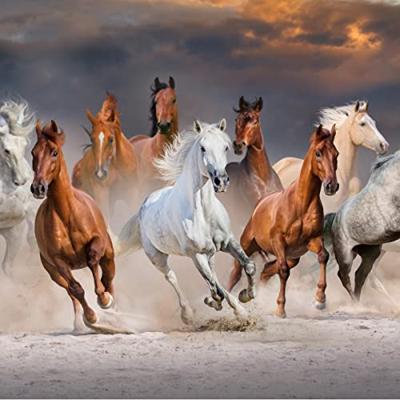 Fotobehang - Kudde galopperende paarden, 11 maten, premium print, inclusief behanglijm