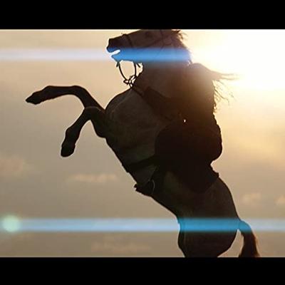 Sirui 75mm Anamorphic Lens (E mount)