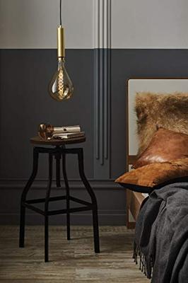 Paulmann Kine 79756 Hanglamp LED E27 Messing (geborsteld)