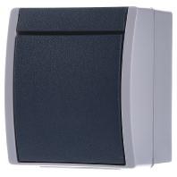 Busch-Jaeger 2601/7 W-53 Ocean (opbouw) Kruisschakelaar spatwaterdicht Blauw, Groen - thumbnail