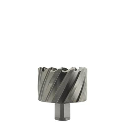 Euroboor HSS KERNBOREN - weldon shank | 30mm, 45mm HCS.450 Euroboor HSS KERNBOREN - weldon shank | 30mm, 45mm HCS.450