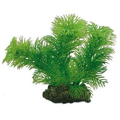 Plantasy set 3 decoratie planten Hobby Smulders - Smulders