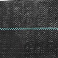 Worteldoek 2x150 m polypropeen zwart - thumbnail