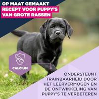Eukanuba Puppy Large kip hondenvoer 2 x 15 kg - thumbnail