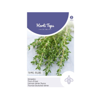 Tijm, Echte Winter Thymus Vulgaris - Hortitops - thumbnail