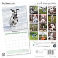 Dalmatier Kalender 2026 - thumbnail