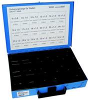 Dresselhaus borgringen assortiment sort.circlips din 471 / az - thumbnail