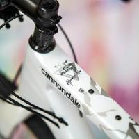 Unleazhed Unscratch frame protection film Gravelbike BPG01 Alpocalypse black - thumbnail