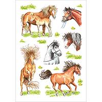 Etiket herma getekende paarden 18 st - thumbnail
